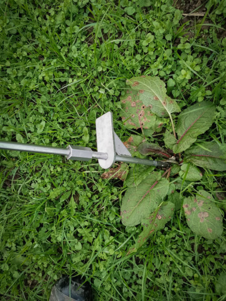 Thermische biologische Unkrautbekämpfung